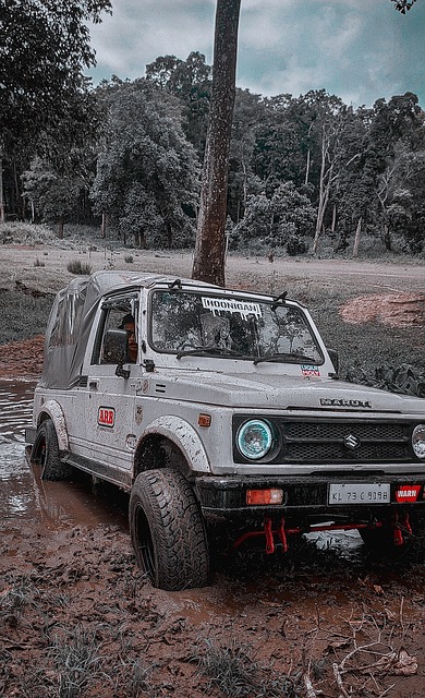 记者：河南足协杯决赛门票预约已达70%，北京只有10%