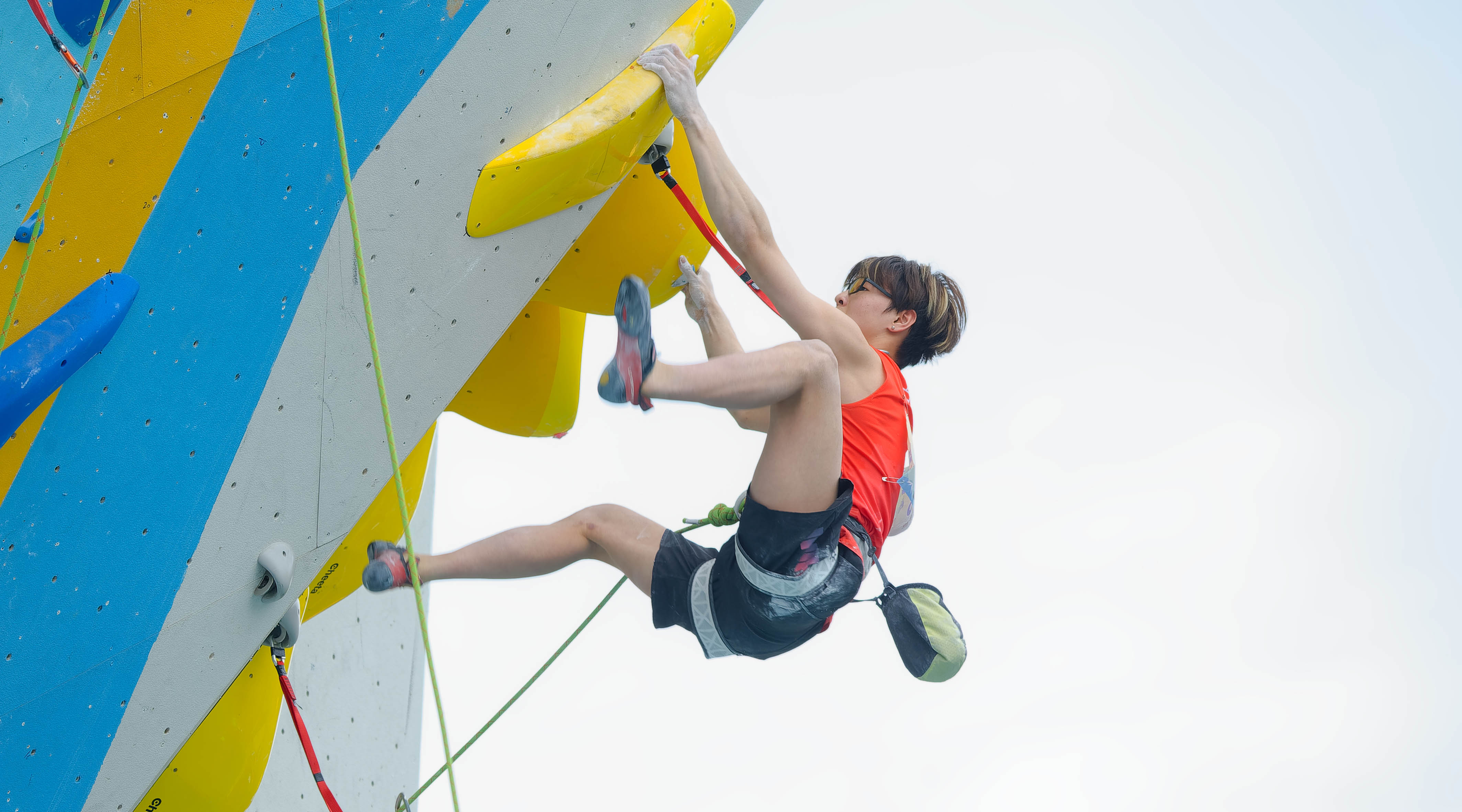 美洲杯新秀大放异彩