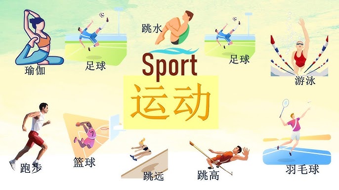 这队的轮转太合理