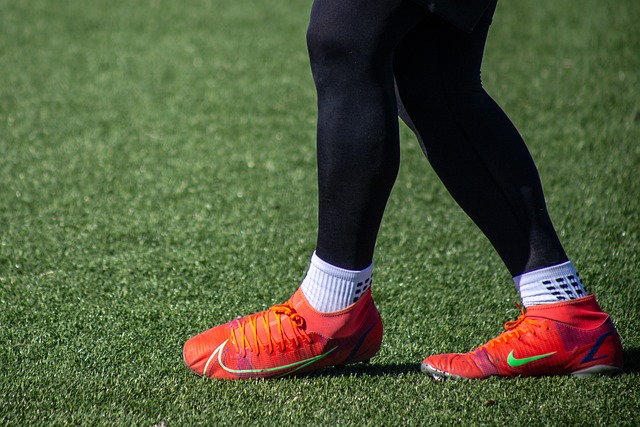 提高了身体 提高了身体