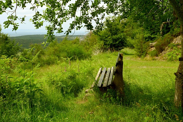 无论你是经 无论你是经