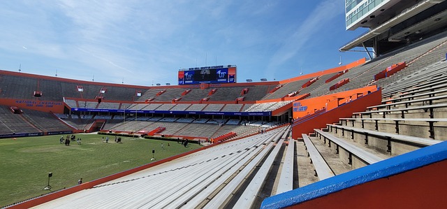 表現頑強 表現頑強