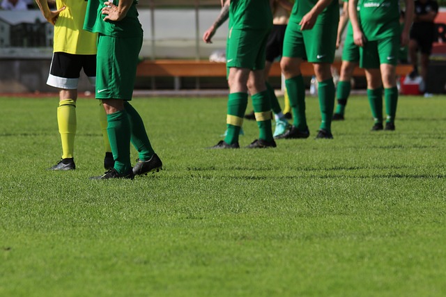 聖保利憑藉 聖保利憑藉