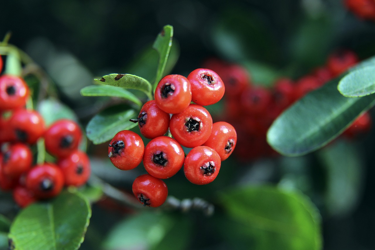 門將的出色 門將的出色