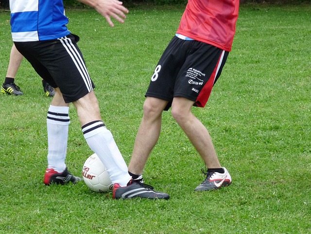 菅原由势是 菅原由势是